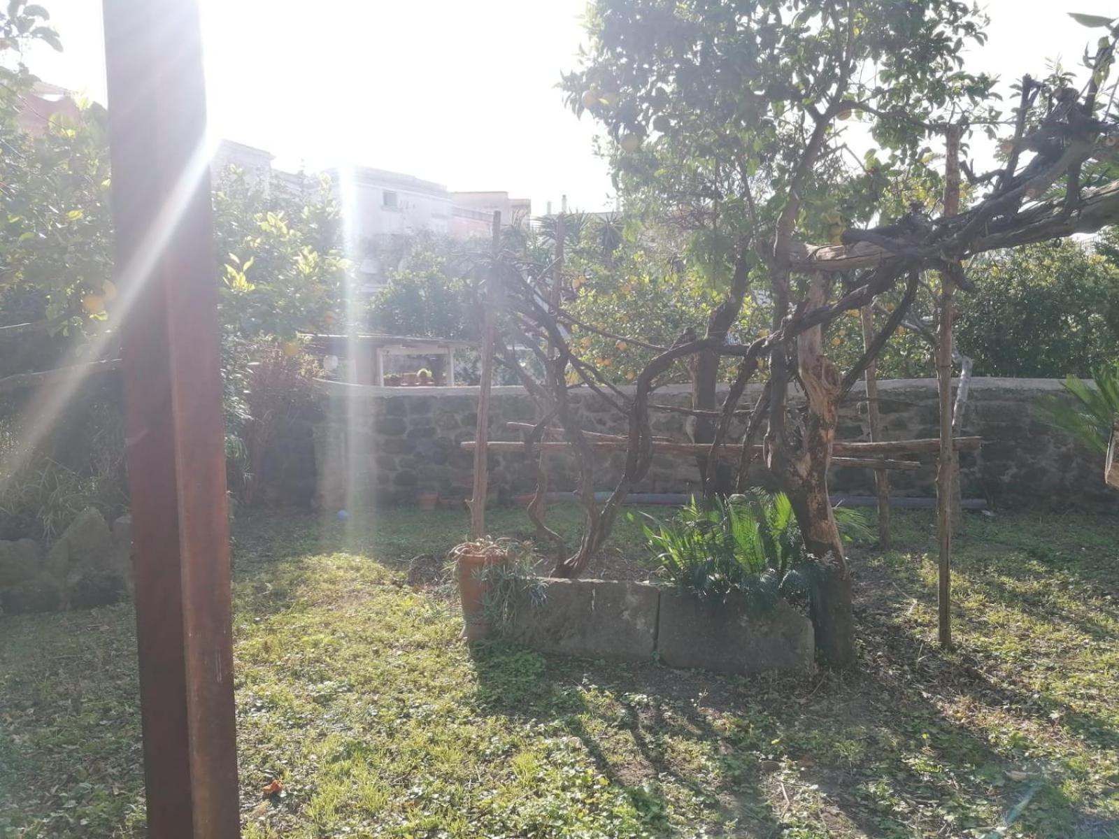 Dimora Coloniale B&B Forio di Ischia Eksteriør billede