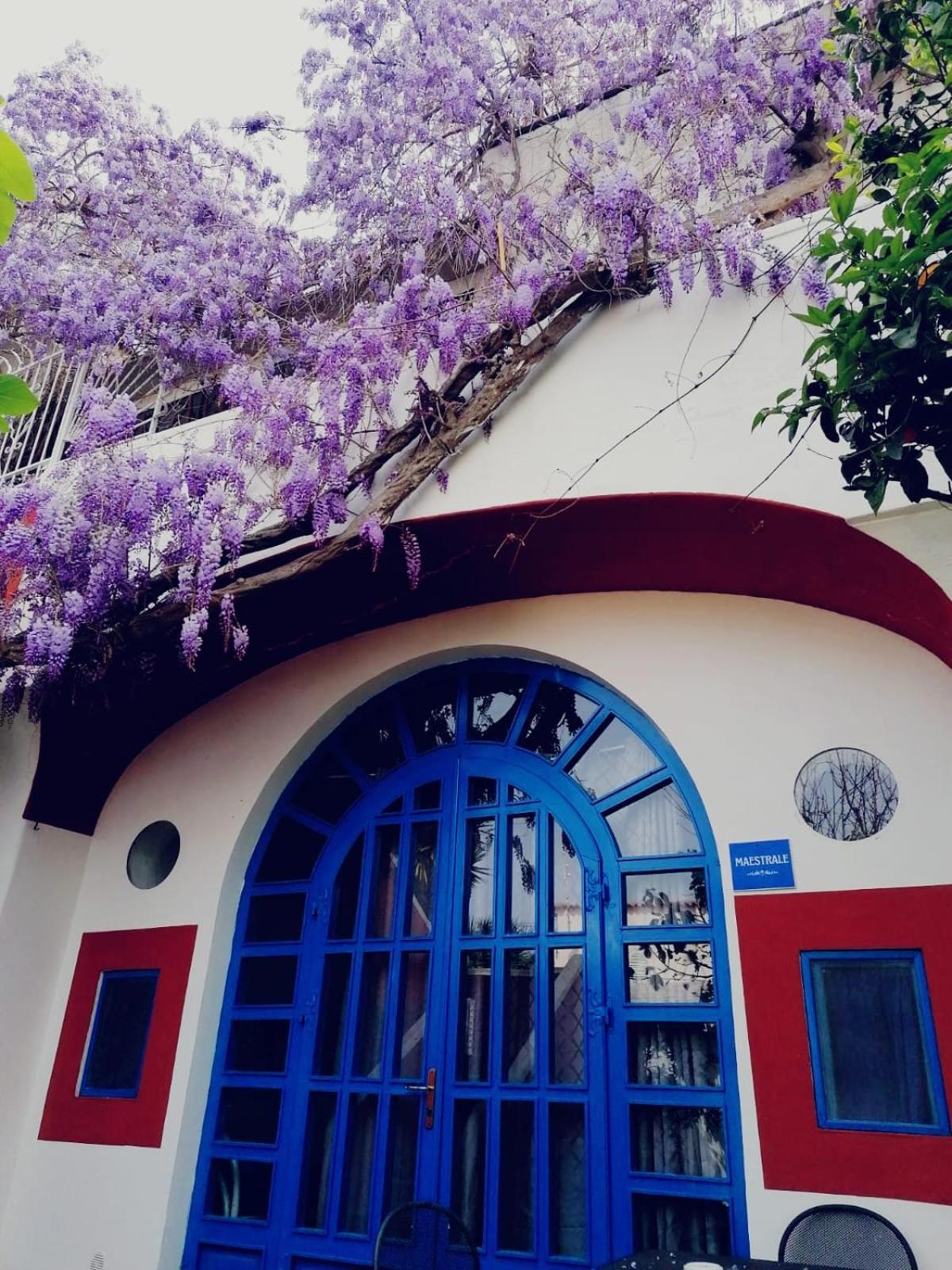 Dimora Coloniale B&B Forio di Ischia Eksteriør billede